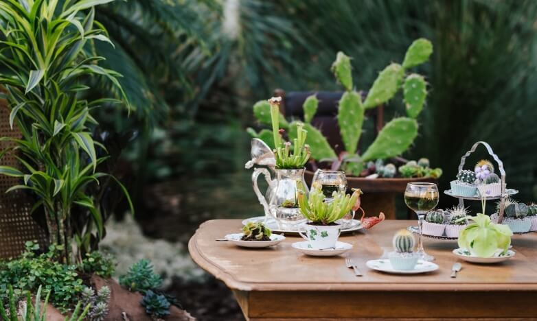 catering-at-events