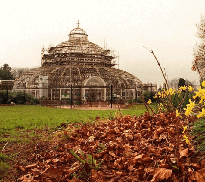 history-1980-palmhouse