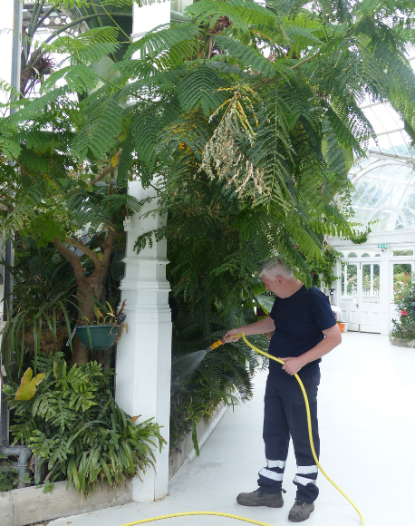 Colin the gardener