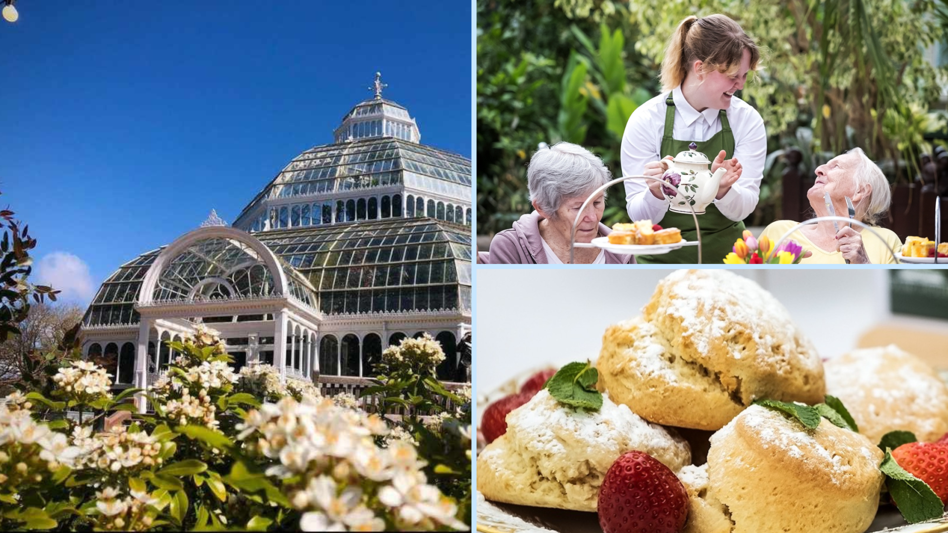 Afternoon Tea TQ Banner (1920 x 354 px) (Blog Banner) (2)
