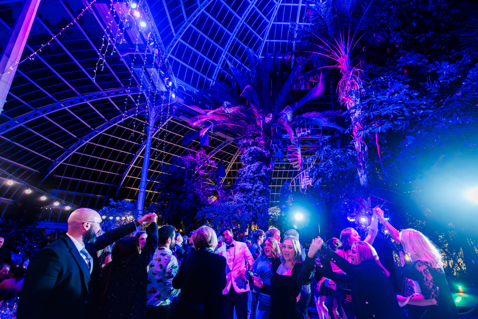 https://palmhouse.org.uk/wp-content/uploads/2025/05/SPPH-Corporate-Party-105.jpg
