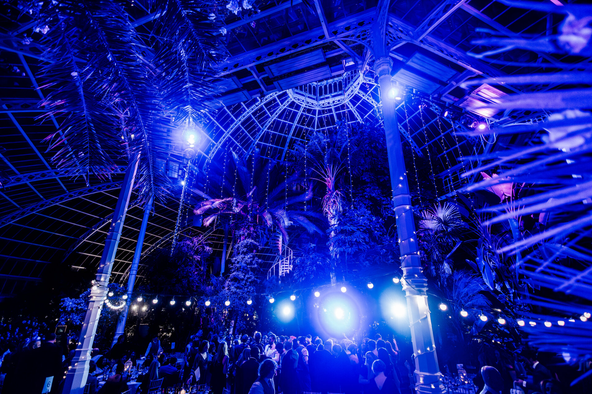 https://palmhouse.org.uk/wp-content/uploads/2025/05/SPPH-Corporate-Party-121.jpg