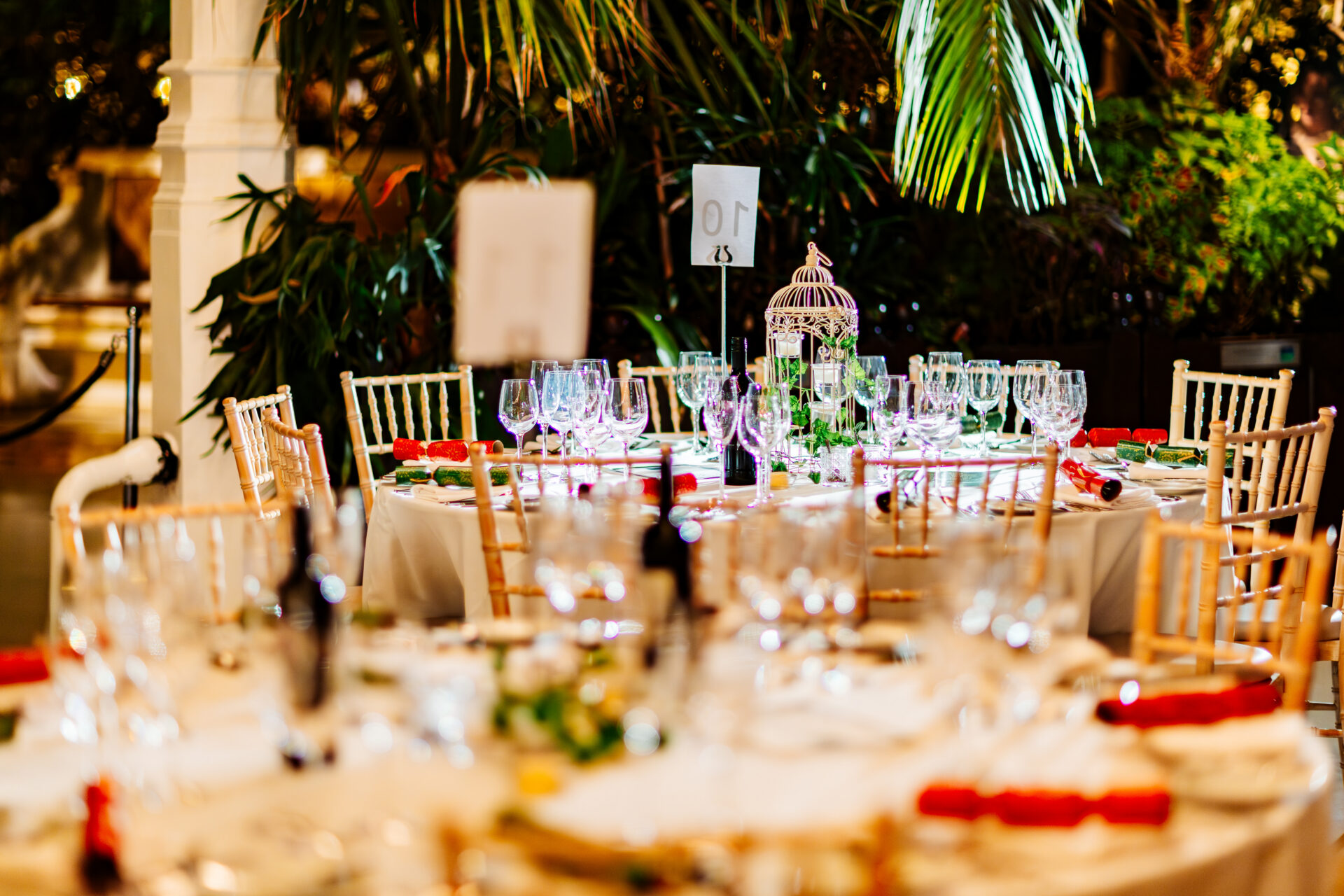 https://palmhouse.org.uk/wp-content/uploads/2025/05/SPPH-Corporate-Party-13.jpg