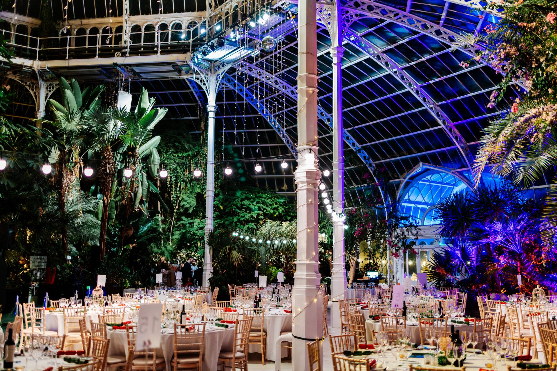 https://palmhouse.org.uk/wp-content/uploads/2025/05/SPPH-Corporate-Party-16.jpg