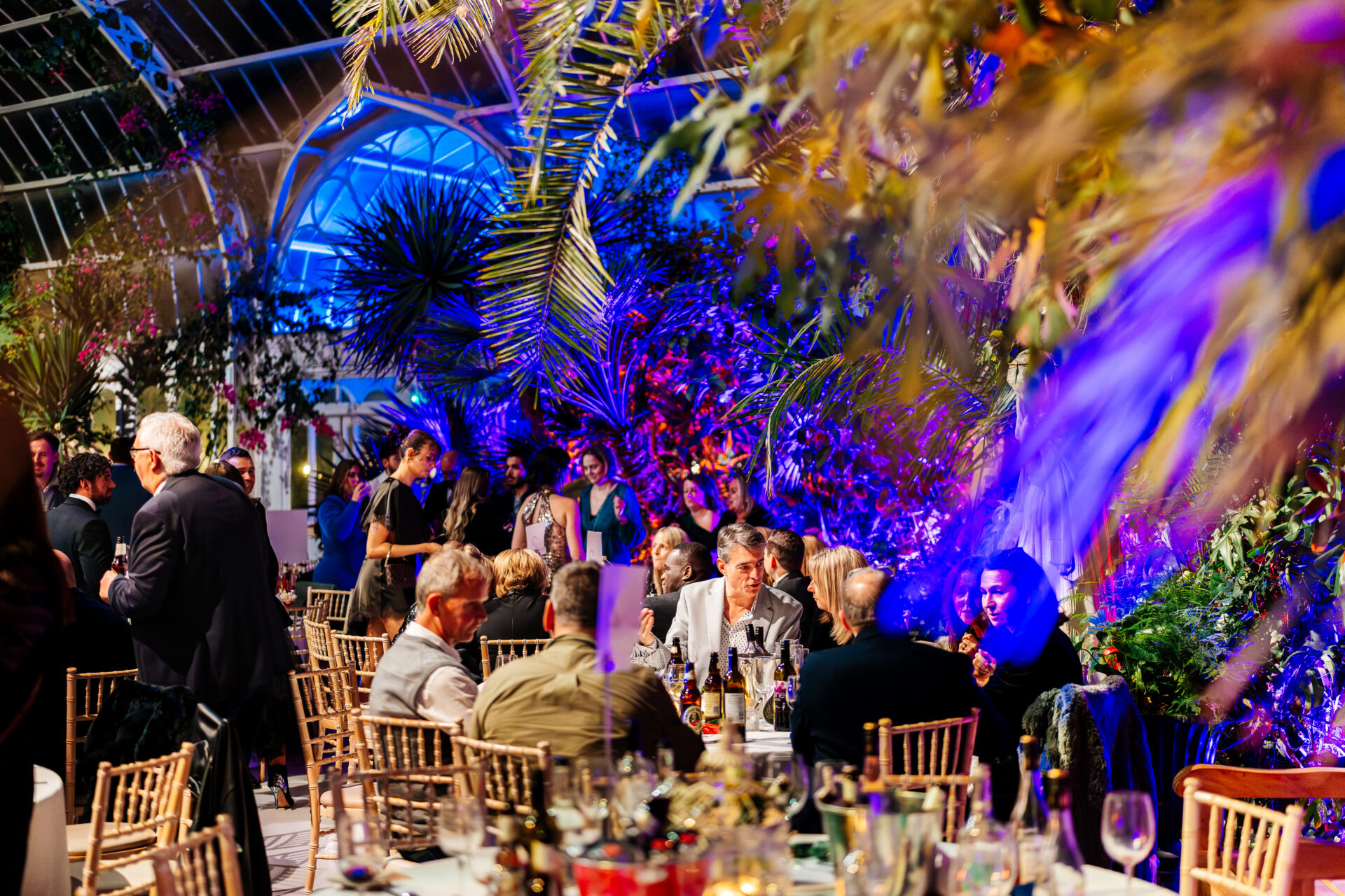 https://palmhouse.org.uk/wp-content/uploads/2025/05/SPPH-Corporate-Party-75.jpg
