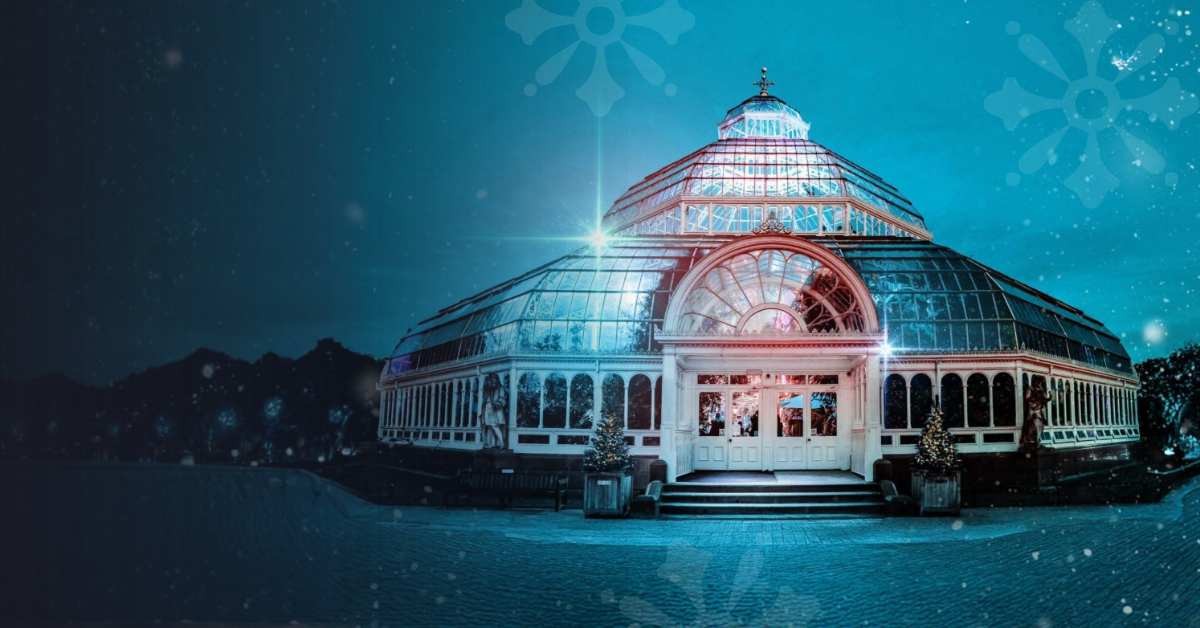 WEBSITE Banner (2)